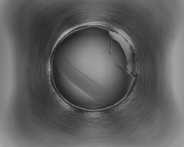 X0000116591428200912171544