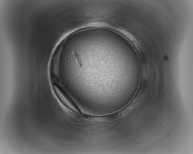 X0000116591430200912171544