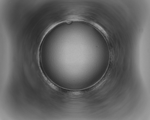 X0000116591431200912171544