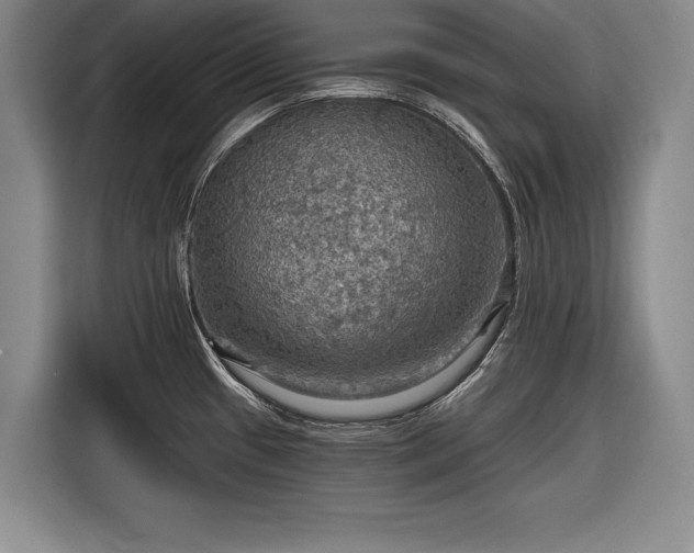 X0000116591433200912171544