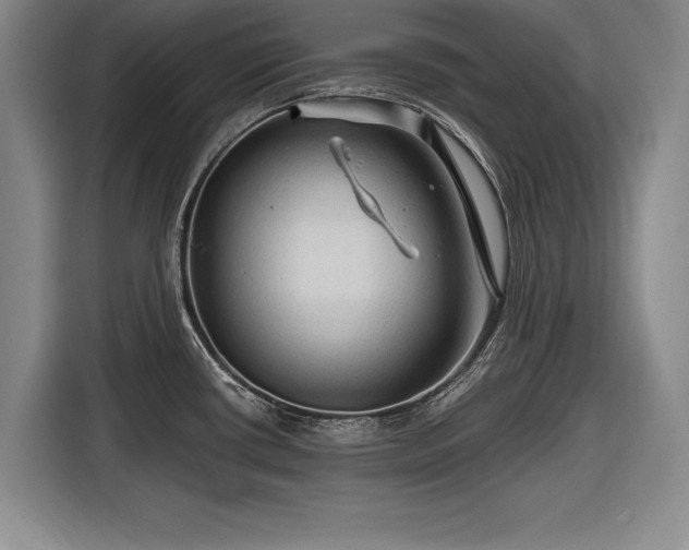 X0000116591434200912171544