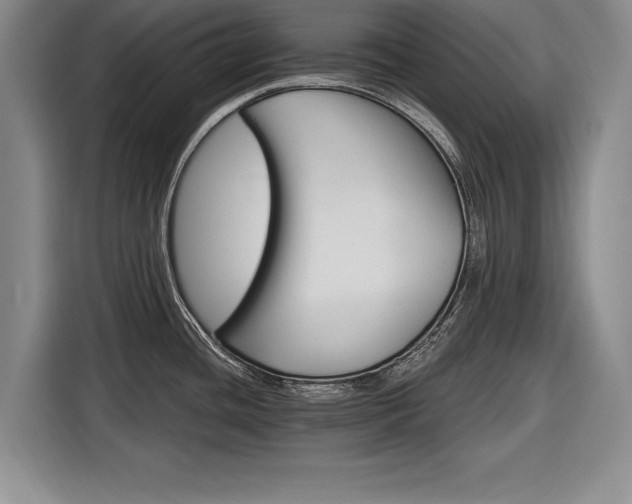 X0000116591436200912171544