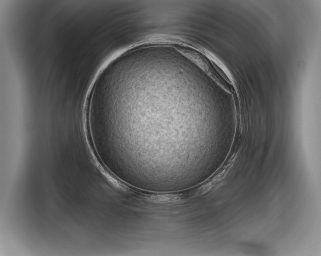 X0000116591437200912171544