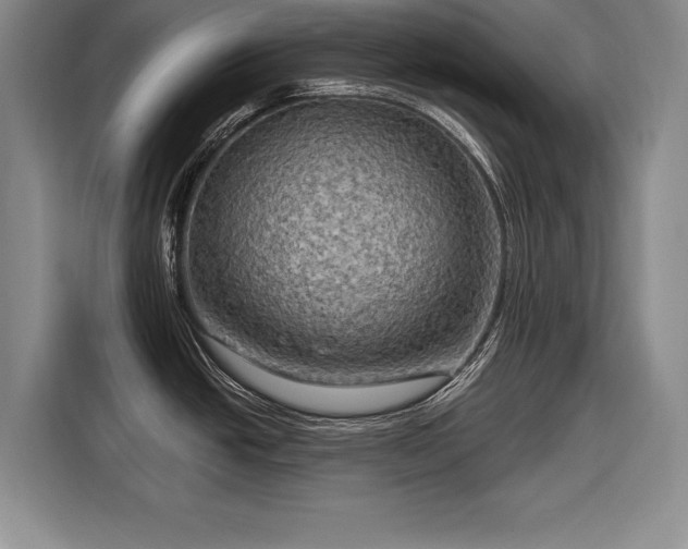 X0000116591438200912171544