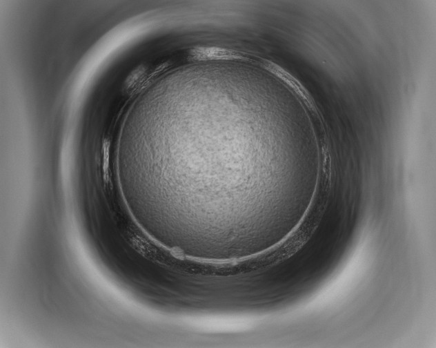 X0000116591439200912171544