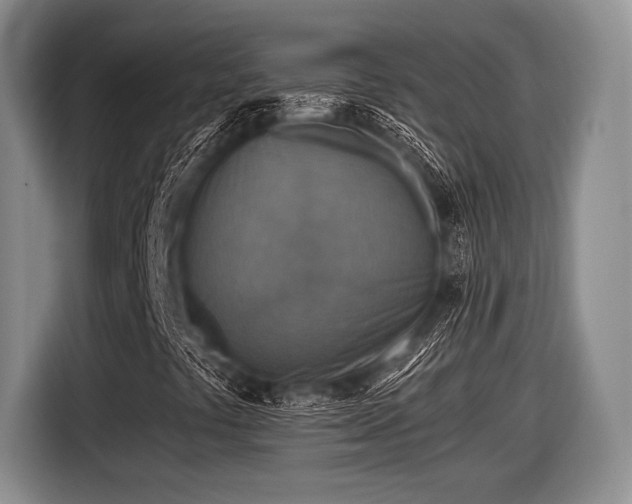 X0000116591441200912171544