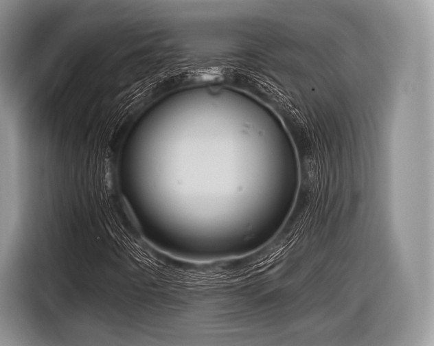 X0000116591442200912171544