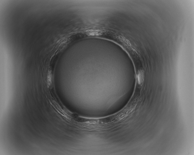 X0000116591444200912171544