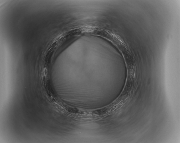 X0000116591445200912171544