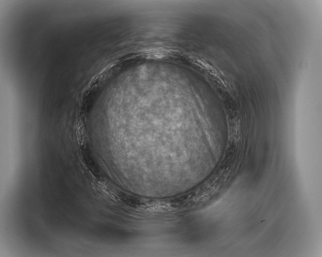 X0000116591446200912171544