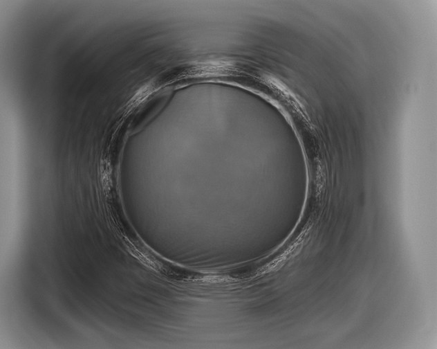 X0000116591449200912171544