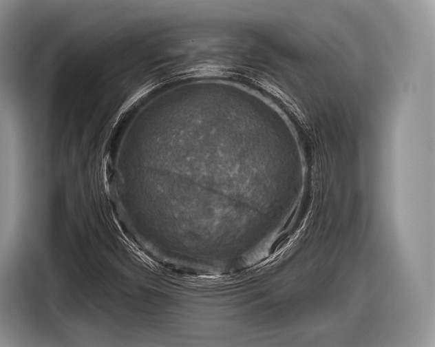 X0000116591450200912171544