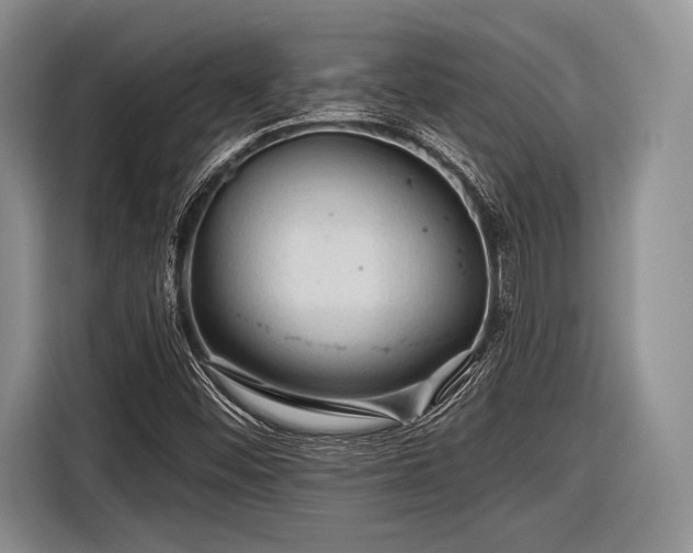 X0000116591452200912171544