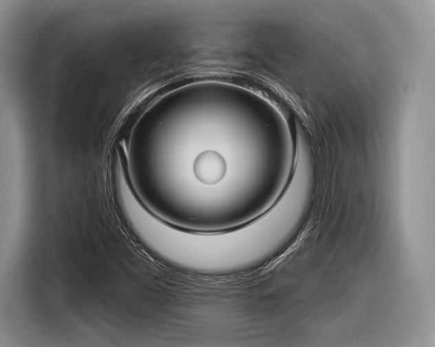 X0000116591453200912171544