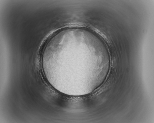 X0000116591454200912171544