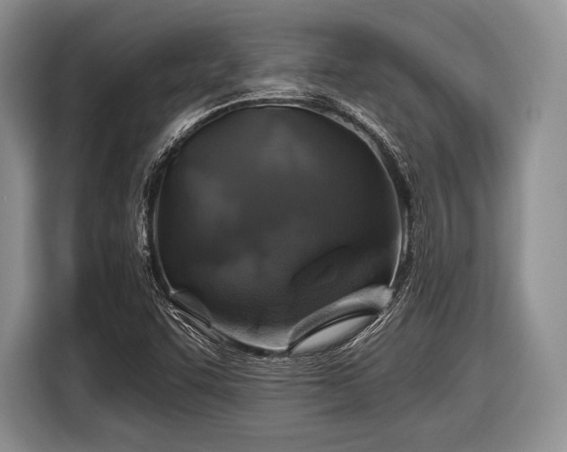 X0000116591455200912171544