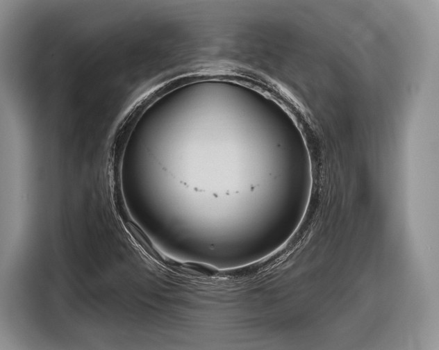 X0000116591456200912171544