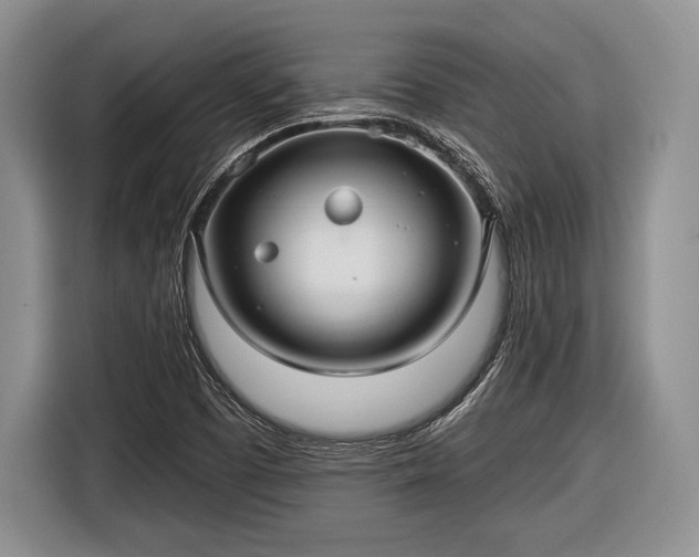 X0000116591457200912171544