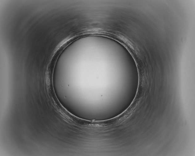 X0000116591458200912171544