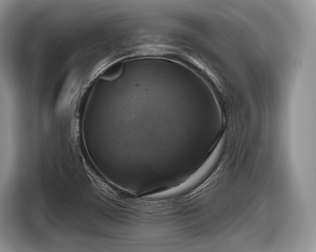 X0000116591459200912171544