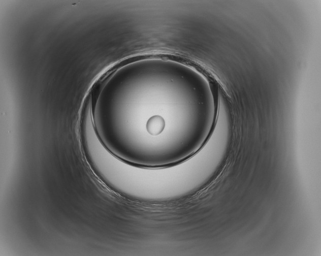 X0000116591460200912171543