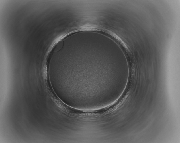 X0000116591461200912171543