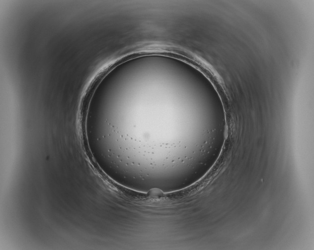 X0000116591464200912171543