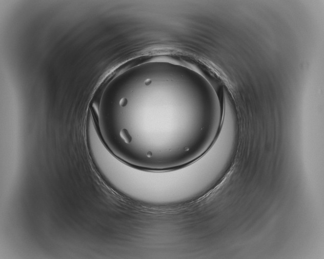 X0000116591465200912171543