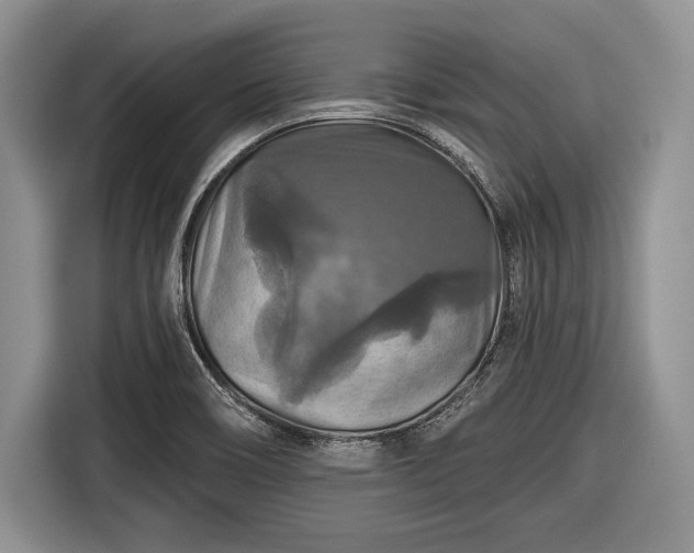 X0000116591466200912171543