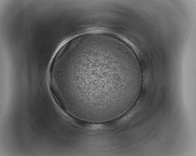 X0000116591467200912171543