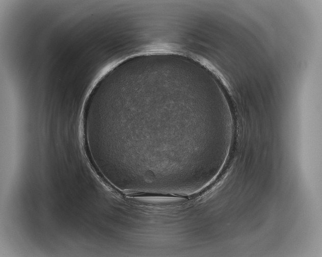 X0000116591469200912171543