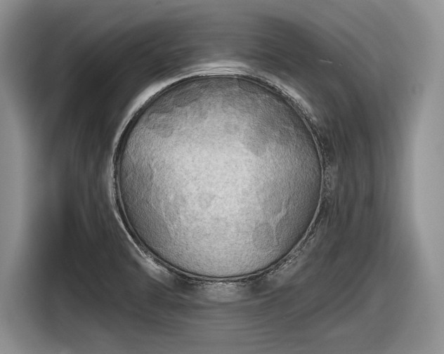 X0000116591470200912171543