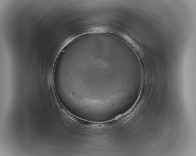 X0000116591473200912171543