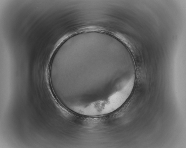 X0000116591474200912171543