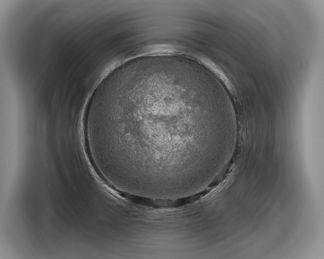 X0000116591475200912171543