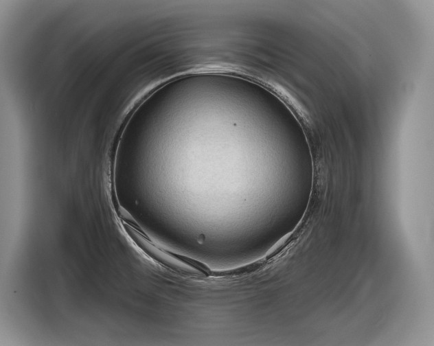 X0000116591476200912171543