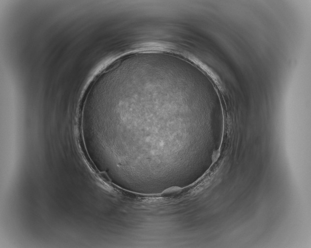 X0000116591477200912171543