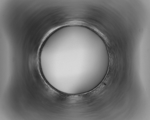 X0000116591478200912171543