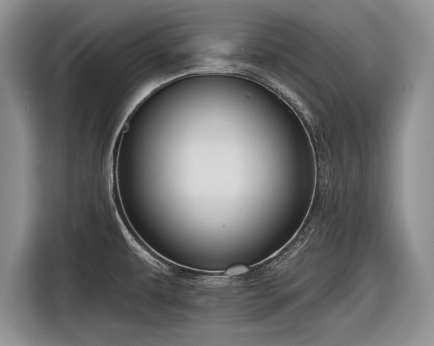 X0000116591479200912171543