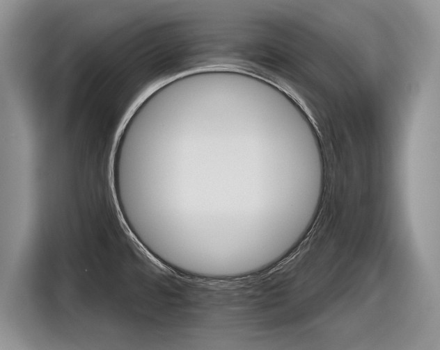 X0000116591480200912171543