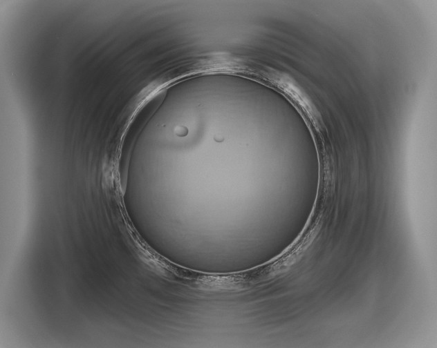 X0000116591481200912171543