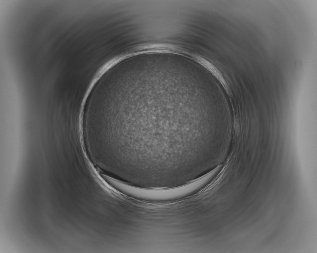 X0000116591482200912171543