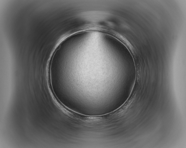 X0000116591483200912171543