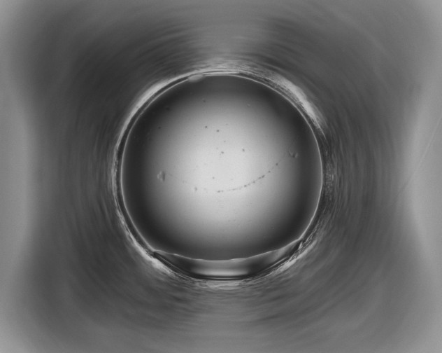 X0000116591484200912171543