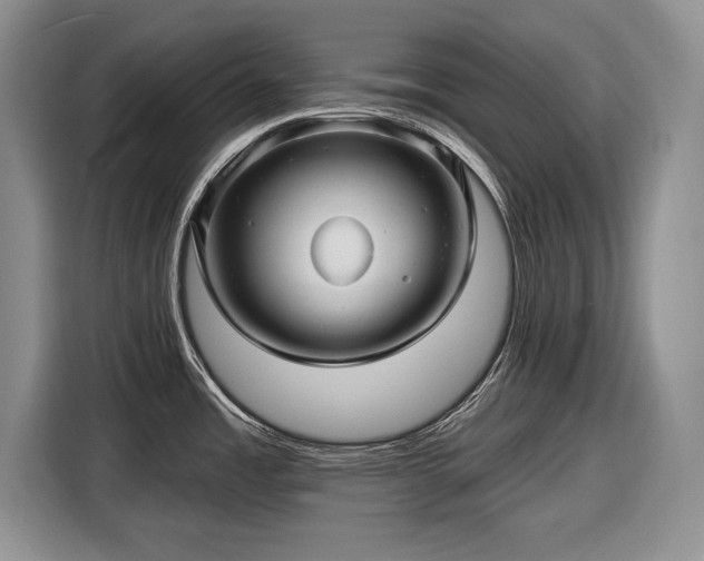 X0000116591485200912171543