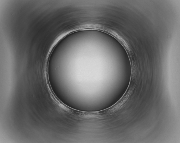 X0000116591486200912171543