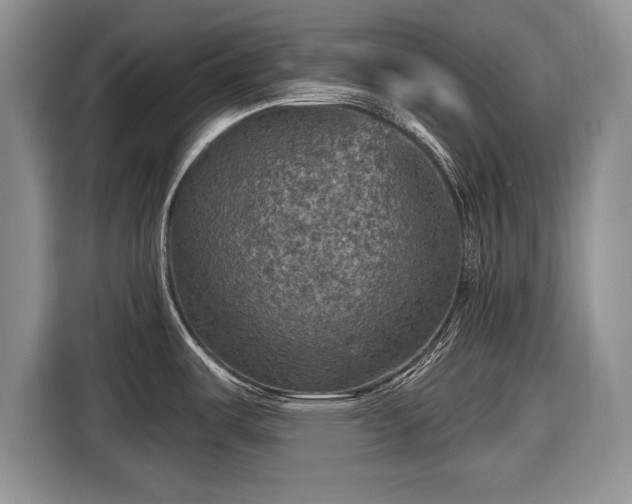 X0000116591487200912171543