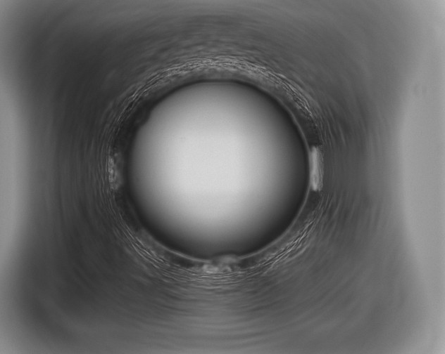 X0000116591491200912171543