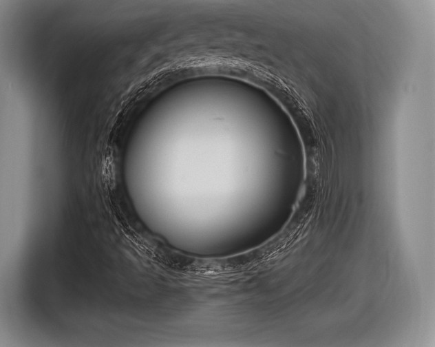 X0000116591493200912171543