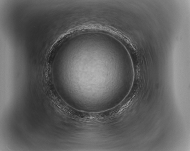 X0000116591494200912171543